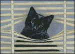 (image for) Nosy Neighbor